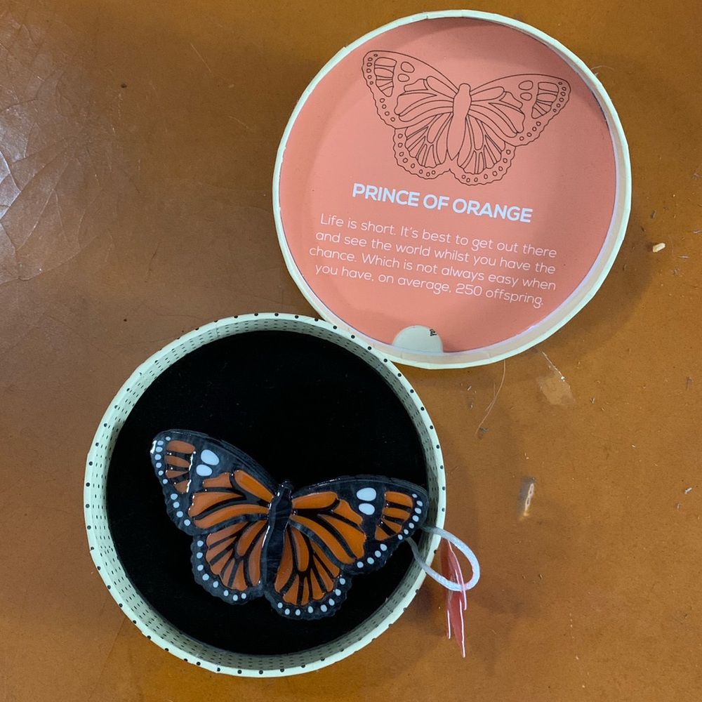 Erstwilder’ “Prince of Orange”